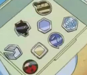 180px-Ash Johto Badges.png