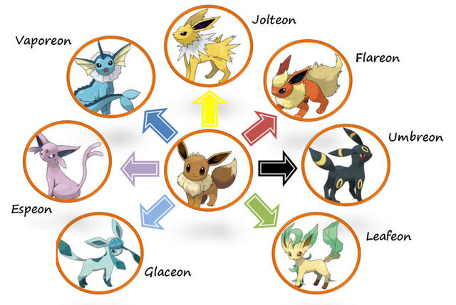 Fitxer:Evolucions d'Eevee.jpg