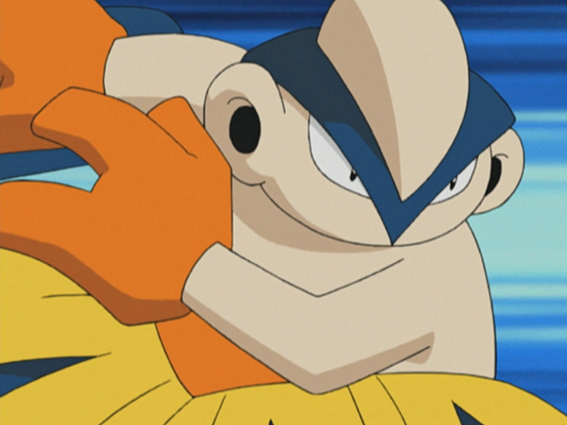 File:Brawly Hariyama Vital Throw.png