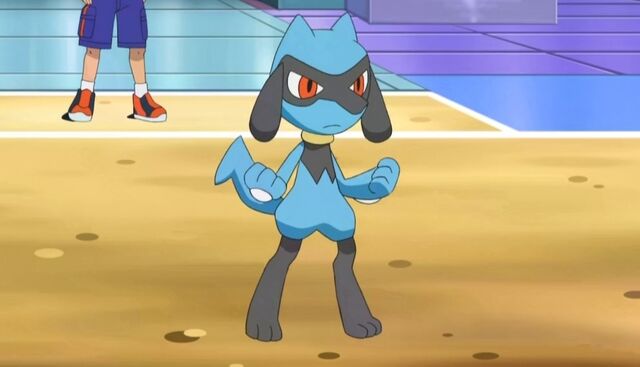File:Cameron's Riolu.jpg