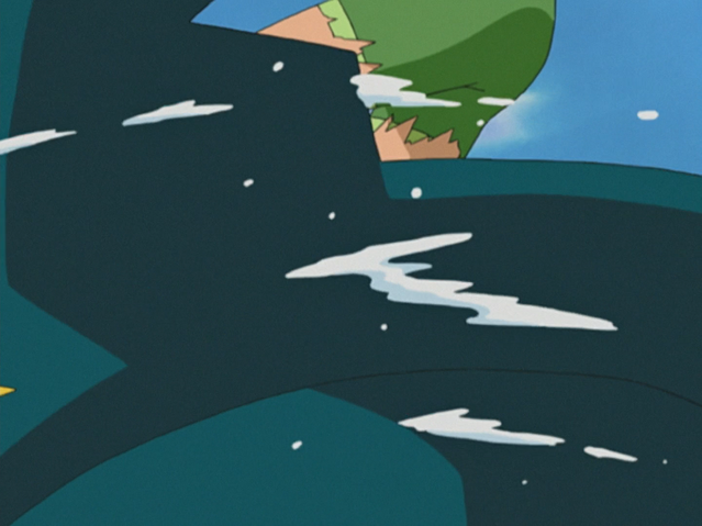 File:Sharpedo Rough Skin.png