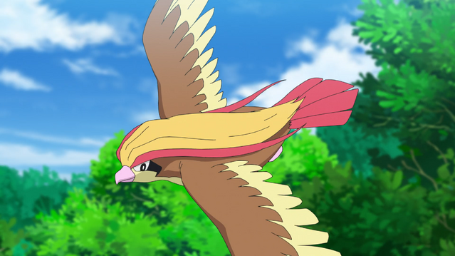 File:Ash Pidgeot.png