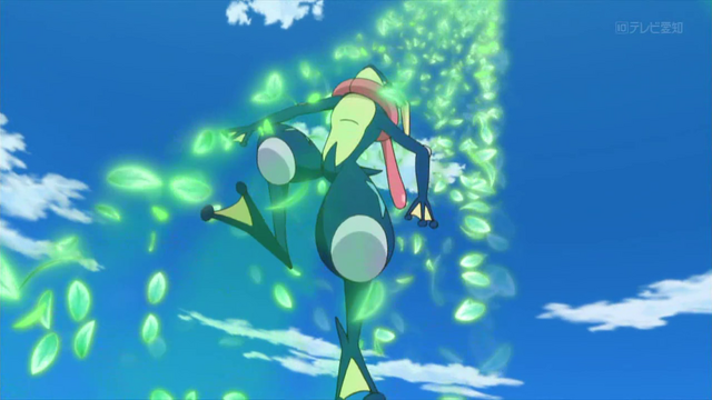 File:XY110 3.png