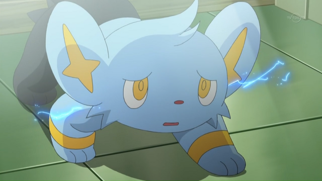 File:Cheren Shinx.png