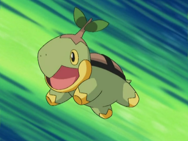 File:Ash Turtwig.png