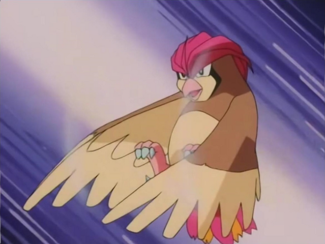 File:Benji father Pidgeotto Gust.png