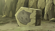 프로토가의 화석.png