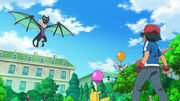 XY005 14