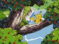 EP039 Pikachu agafant una poma