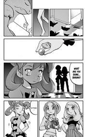 X&Y007 7