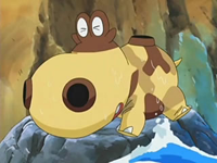 EP513 Hippopotas mullat