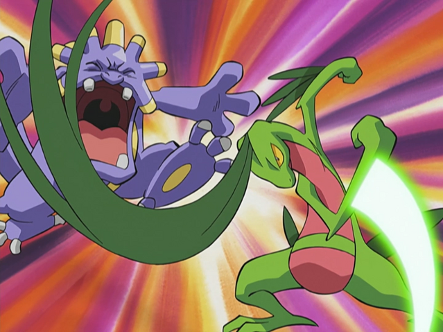 File:Ash Grovyle Pound.png