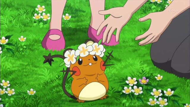 File:Clemont dedenne flower crown.jpg