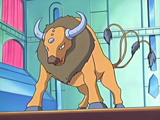 EP446 Tauros.png