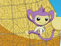 EP491 Aipom menjant un plàtan.png