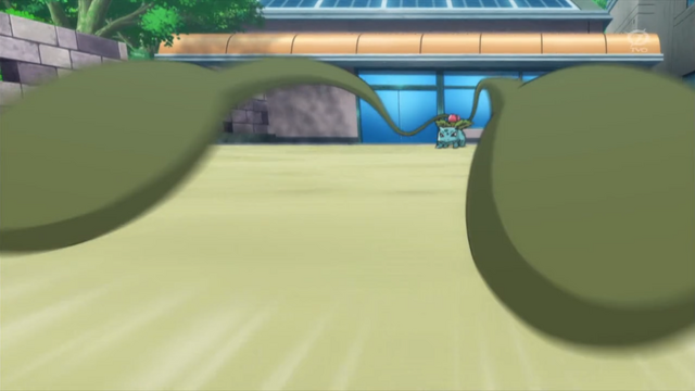 File:Shauna Ivysaur Vine Whip.png