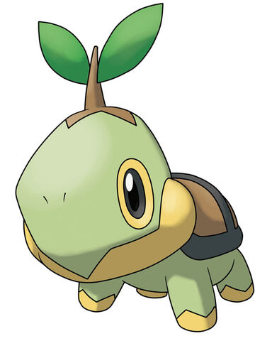 File:Turtwig.jpg