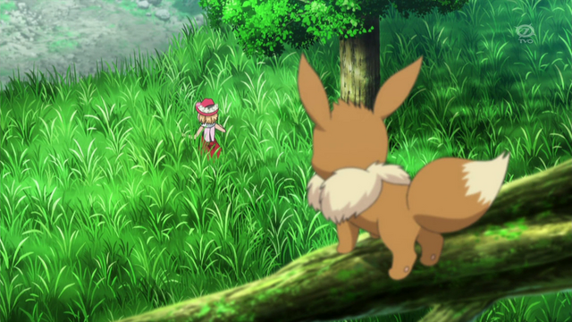 File:XY092 6.png