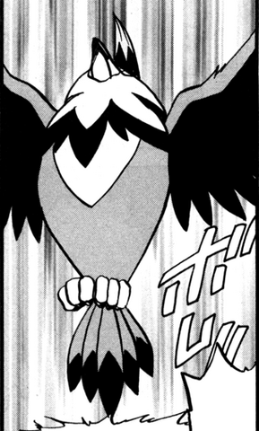 File:Darach Staraptor.png