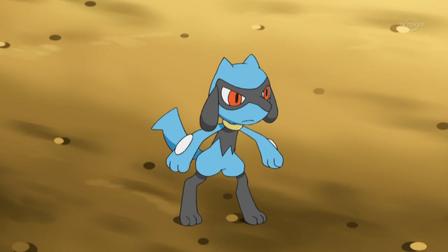 File:Cameron Riolu.png