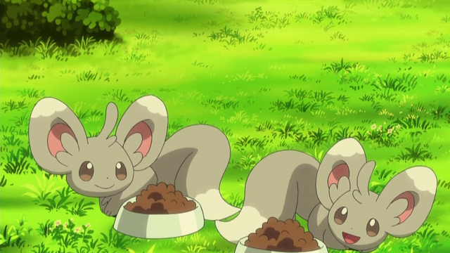 File:Bobby Minccino.png