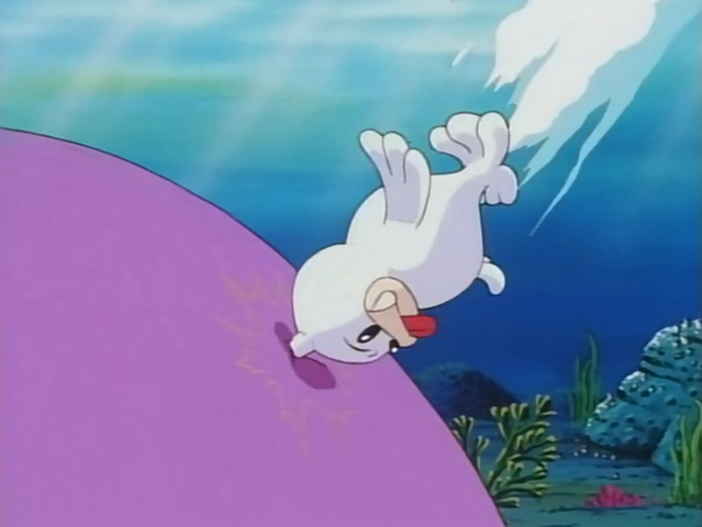 File:Cerulean Gym Seel Headbutt.png