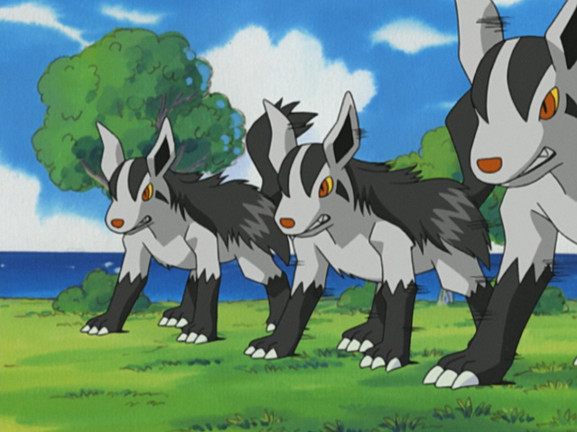File:Tabitha Mightyena Double Team.png