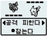 포켓트레 이미지.png