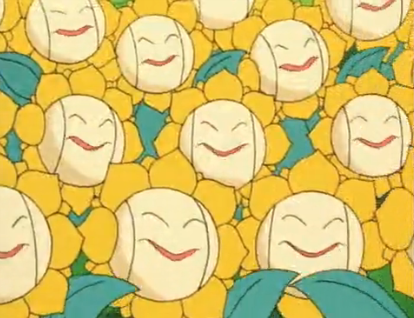 File:Multiple Sunflora anime.png