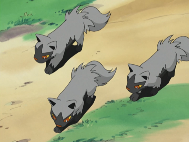 File:Old Man Obee Poochyena.png