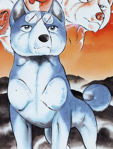File:Ash wolf117.png