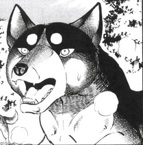 Silver wolf15