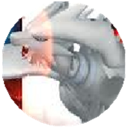 File:Reshiram.jpeg