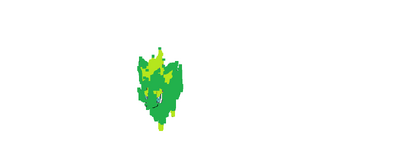 Grassox 2