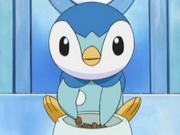 Piplup anime