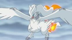 Reshiram w epizodzie.jpg