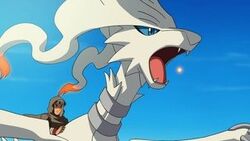 Reshiram Damona.jpg