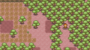 Starter 11.png