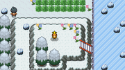 Starter 8.png