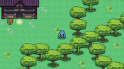 Starter 6.png