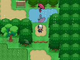 File:Route2.png