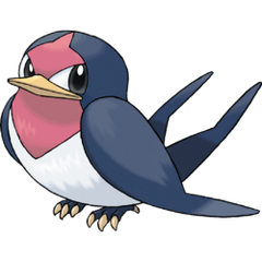 250px-276Taillow (1)