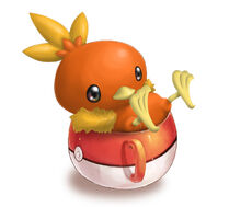 Torchic banner