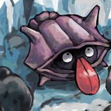 Shellder banner