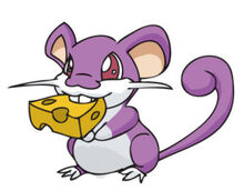 Rattata banner