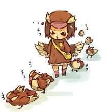 Pidgey banner