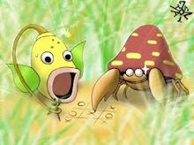 Weepinbell banner