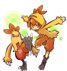 Combusken banner