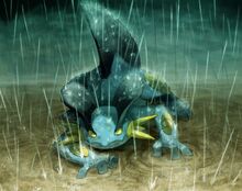 Swampert banner