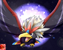 Braviary banner
